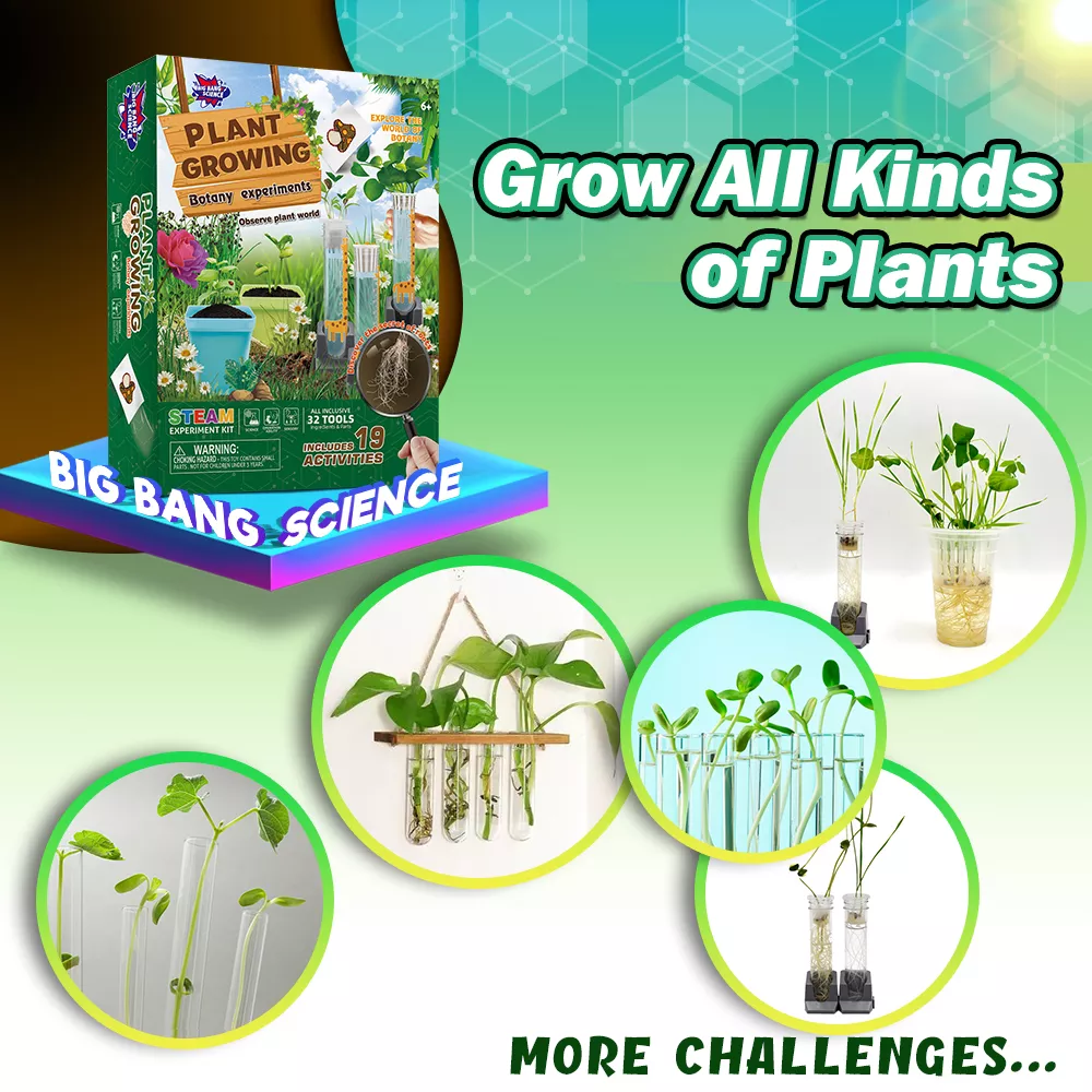 Science Kit - Plant Growing