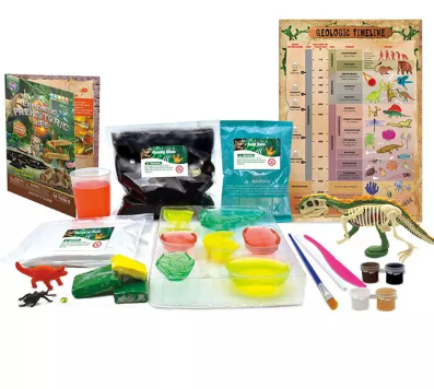 Art Kit - Exploring Prehistoric Life