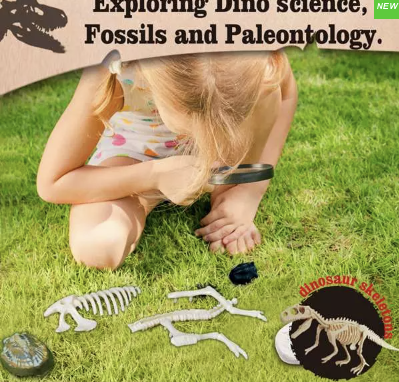 Art Kit - Exploring Prehistoric Life