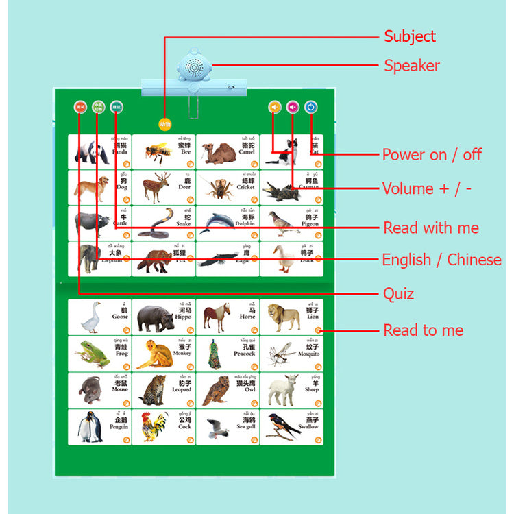 Audio Book - 15 Topics of Vocabulary (Bilingual)