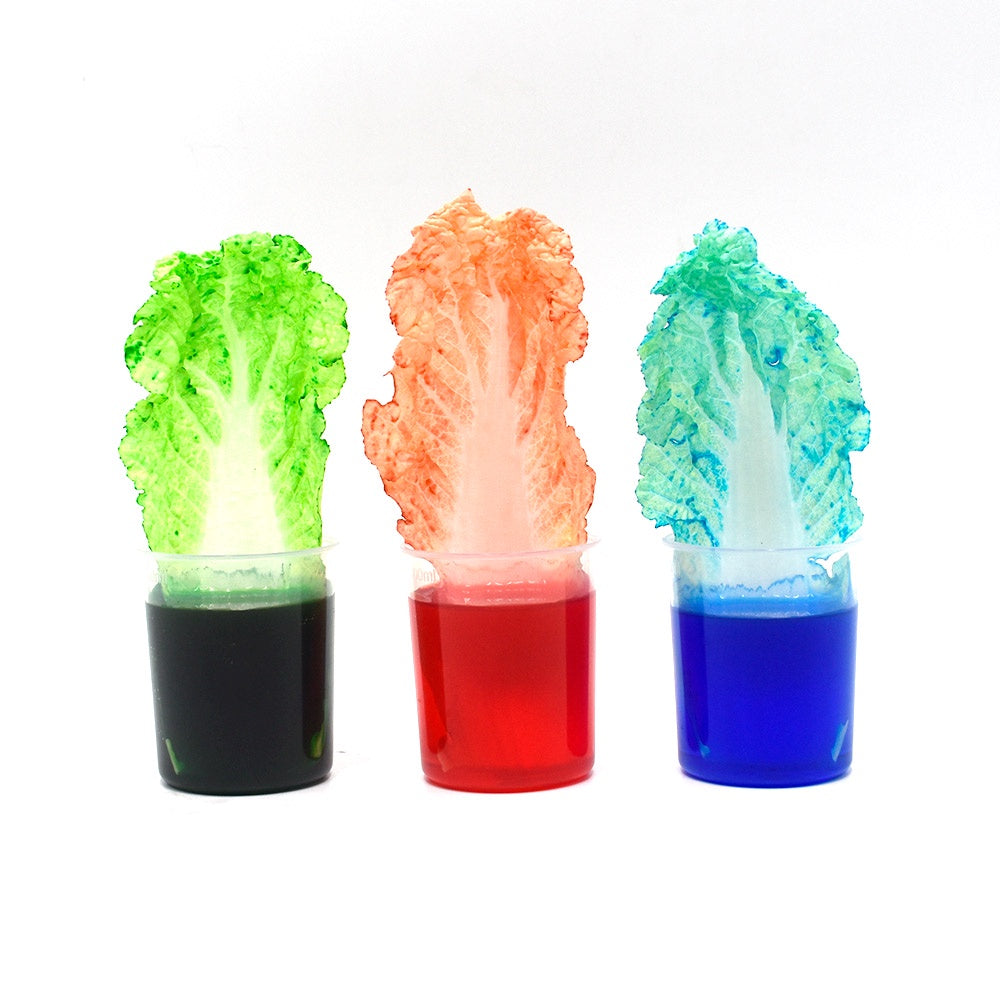 Science Kit - Super Kitchen