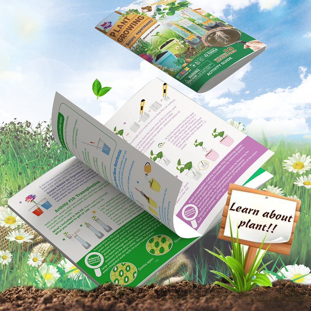 Science Kit - Plant Growing