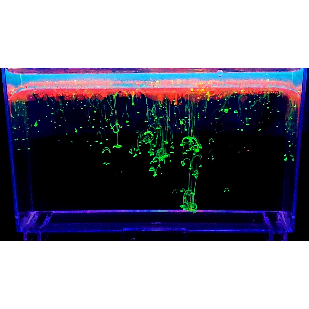 Science Kit - Let's Glow
