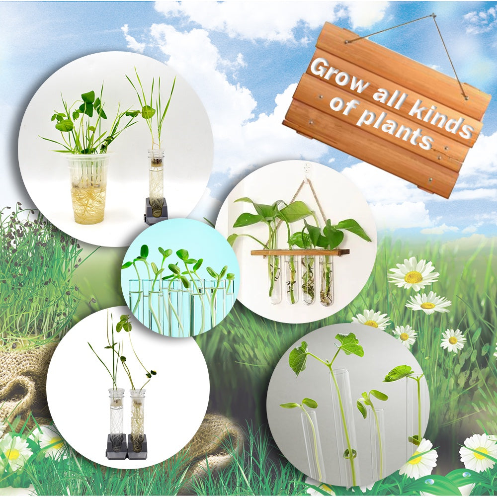 Science Kit - Plant Growing