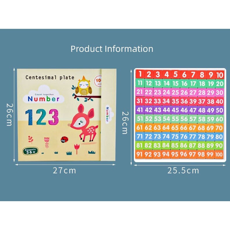 Magnetic Hundred Board Game