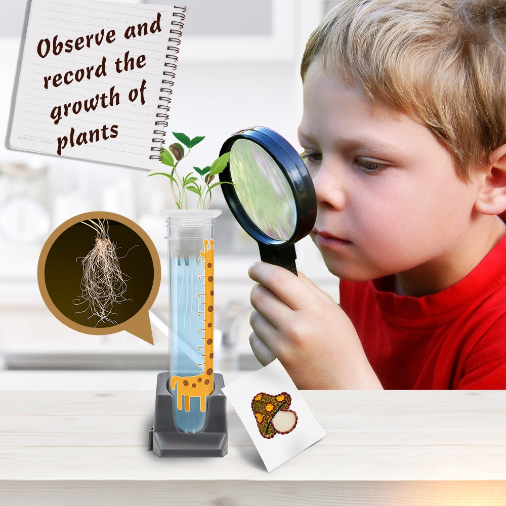 Science Kit - Plant Growing