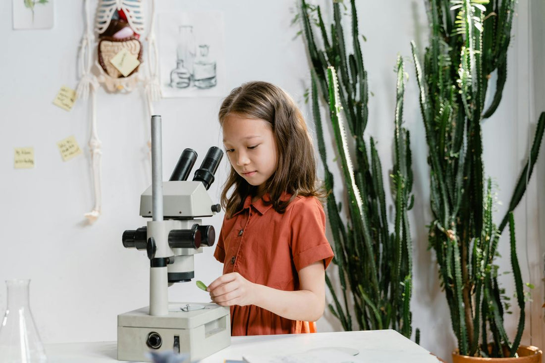 Dive Into Discovery: Science Kits That Spark Curiosity in Young Minds