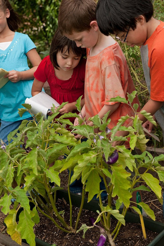 Exploring Nature: Outdoor Science Kits for Hands-On Learning
