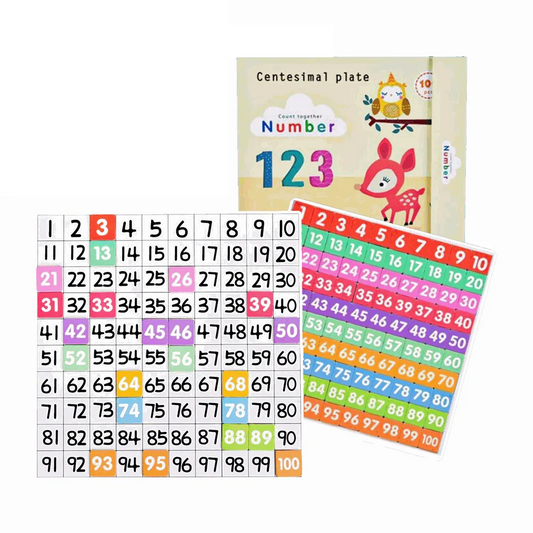 Magnetic Hundred Board Game