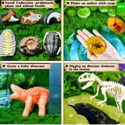 Art Kit - Exploring Prehistoric Life